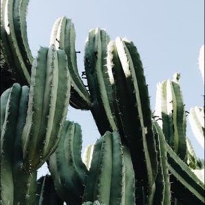 Meet your Posher, Lily